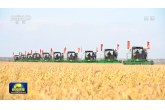 全方位夯實糧食安全根基 端牢中國(guó)飯碗